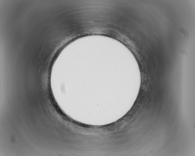 X0000110740012200907271111