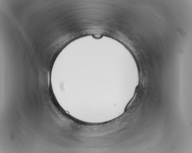 X0000110740013200907271111