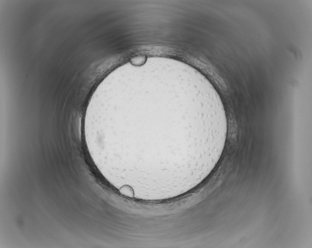 X0000110740014200907271111