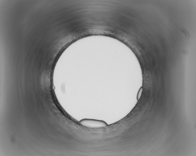 X0000110740015200907271111