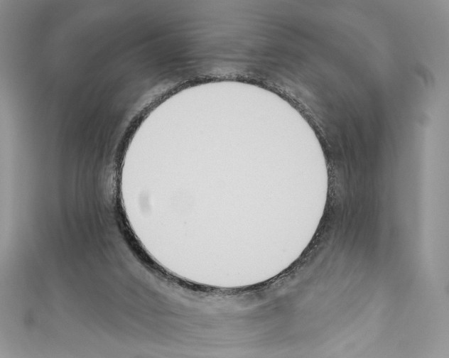 X0000110740016200907271111