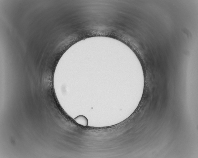 X0000110740017200907271111