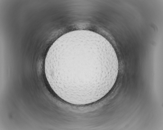 X0000110740018200907271111