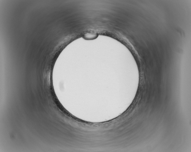 X0000110740019200907271111