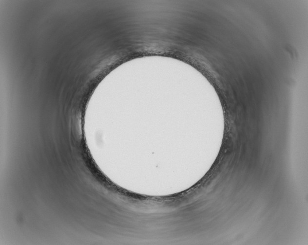 X0000110740020200907271111
