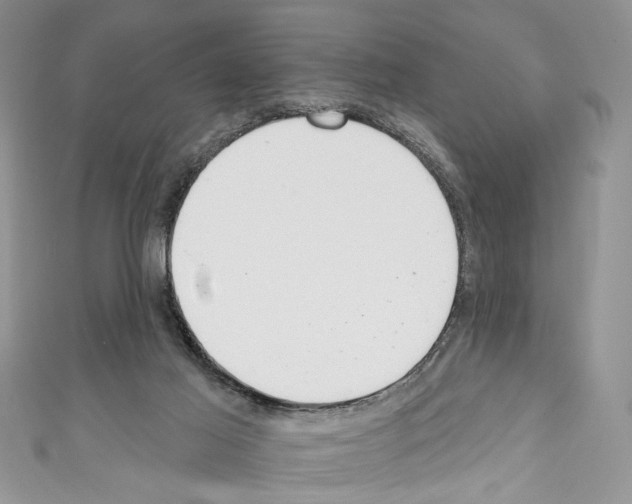 X0000110740021200907271111