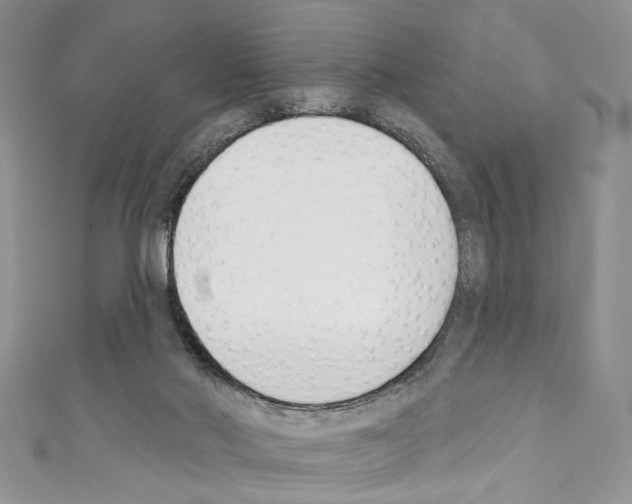 X0000110740022200907271111