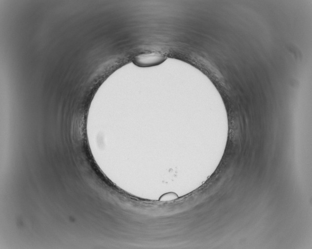 X0000110740023200907271111