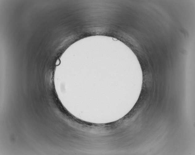 X0000110740024200907271111