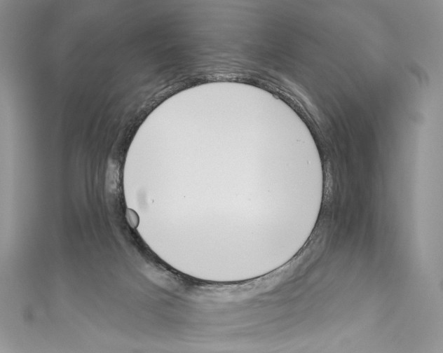 X0000110740025200907271111