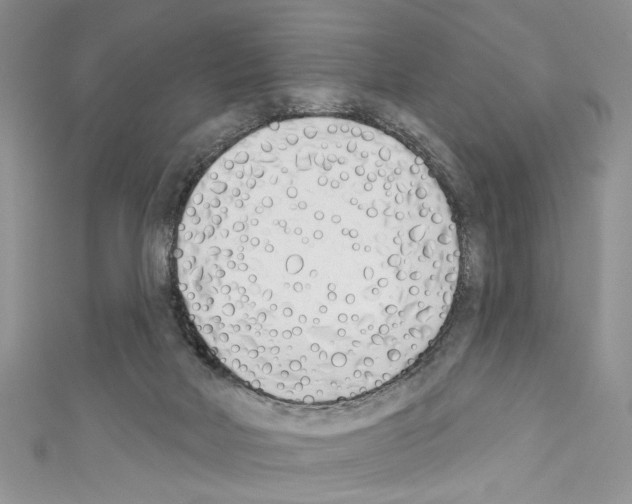 X0000110740026200907271111