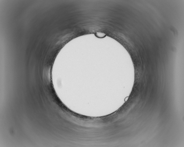 X0000110740028200907271111