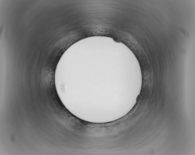 X0000110740029200907271111