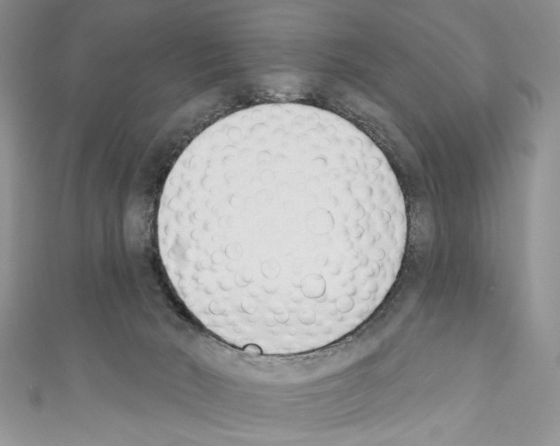 X0000110740030200907271111