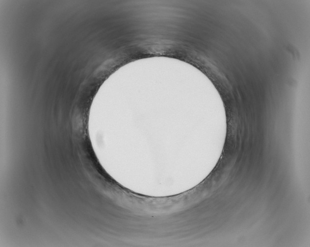 X0000110740031200907271111