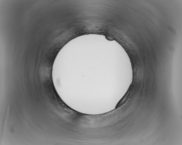 X0000110740033200907271111