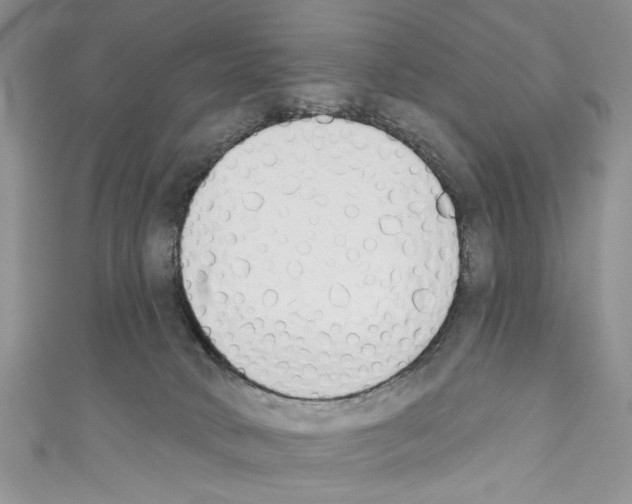 X0000110740034200907271111
