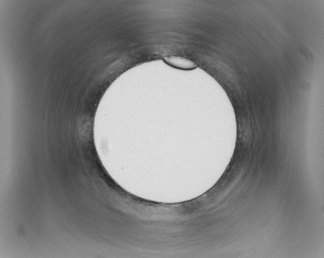 X0000110740036200907271111