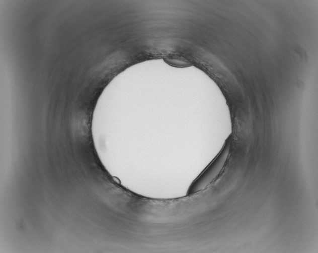 X0000110740037200907271111