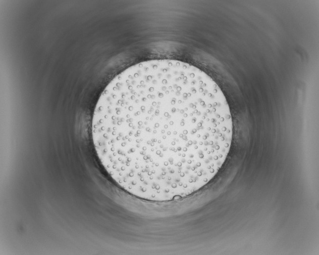 X0000110740038200907271111