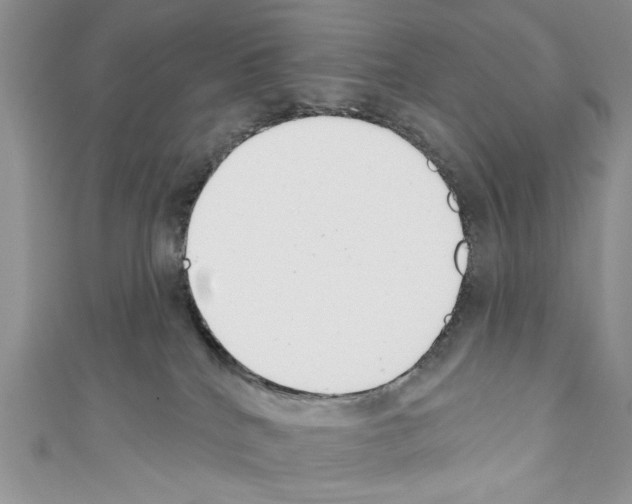 X0000110740040200907271111