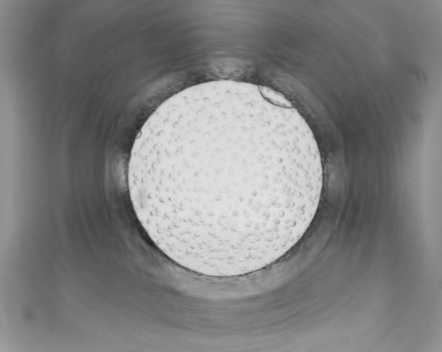 X0000110740042200907271111