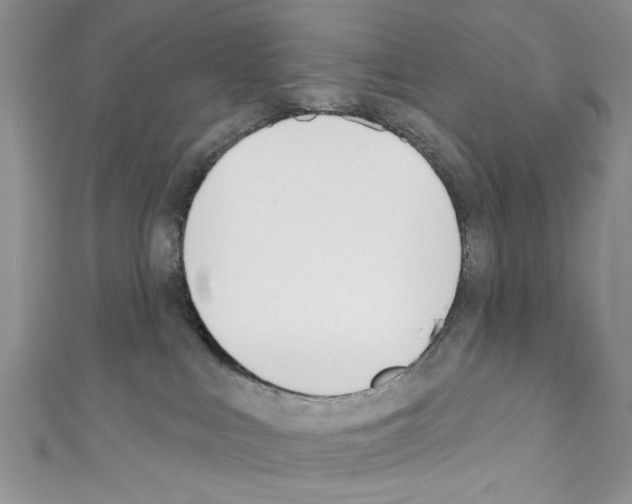 X0000110740043200907271111