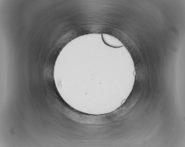 X0000110740044200907271111