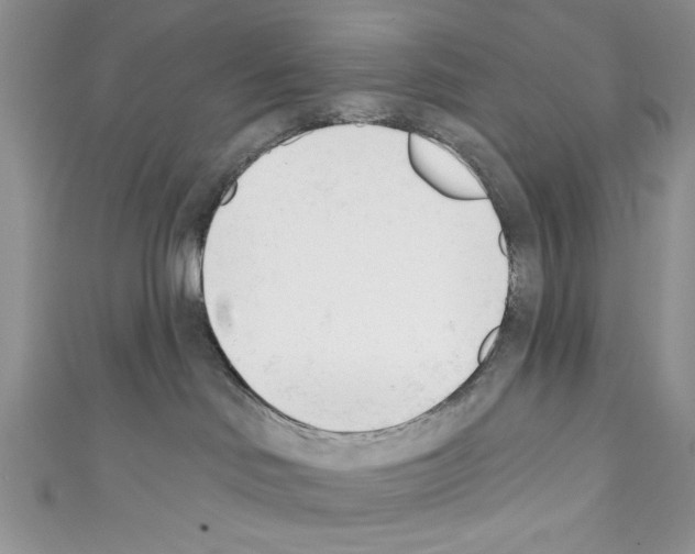 X0000110740046200907271111