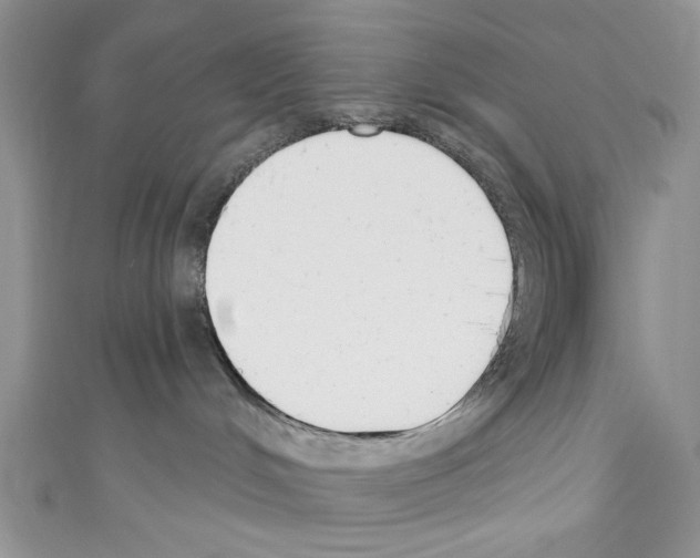 X0000110740048200907271111