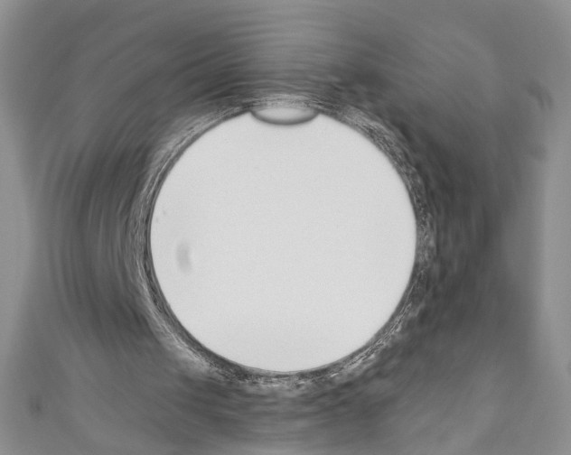 X0000110740049200907271110