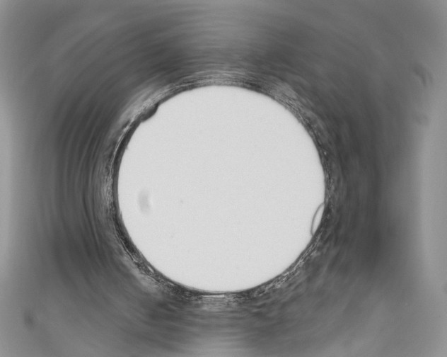 X0000110740050200907271110