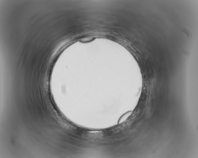 X0000110740053200907271110