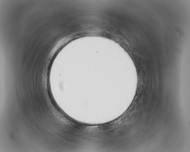 X0000110740054200907271110