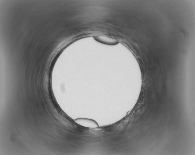 X0000110740055200907271110