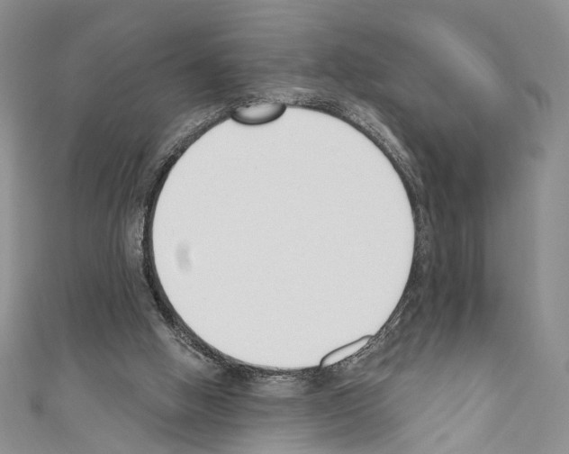 X0000110740058200907271110