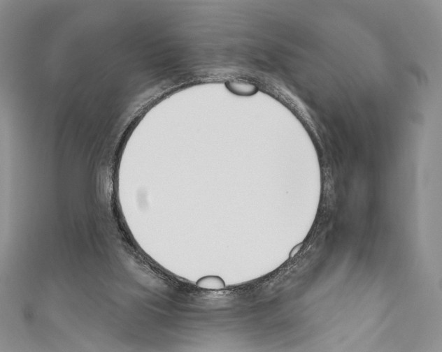 X0000110740059200907271110