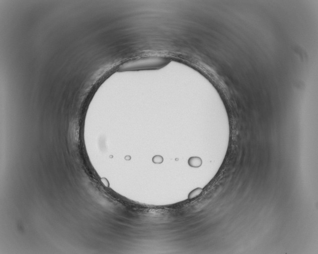 X0000110740060200907271110
