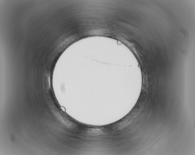 X0000110740061200907271110