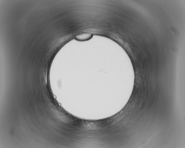 X0000110740062200907271110