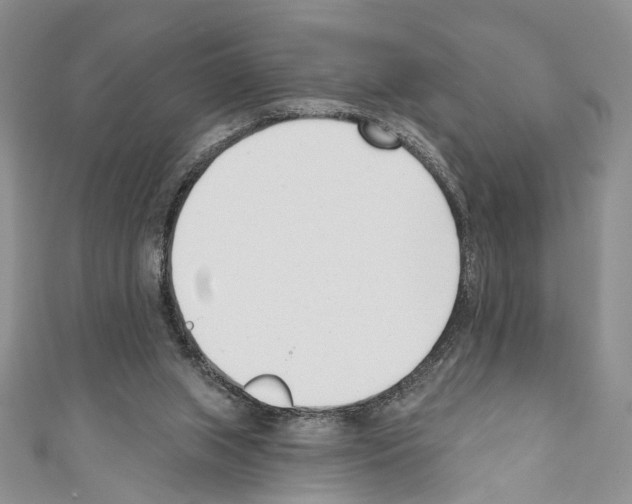 X0000110740063200907271110