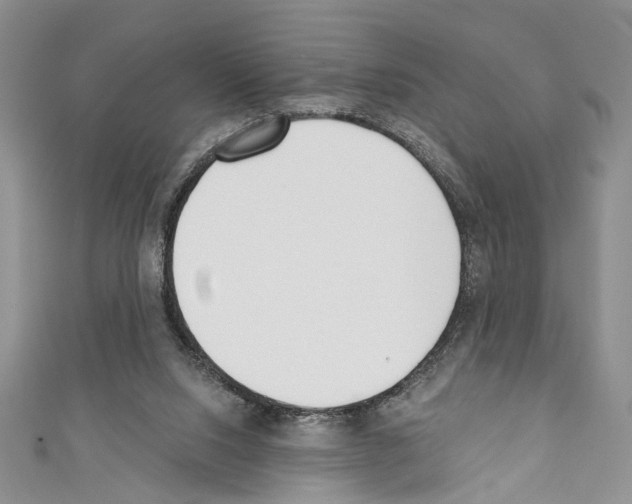 X0000110740064200907271110