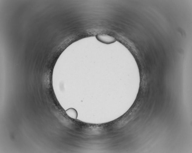 X0000110740065200907271110