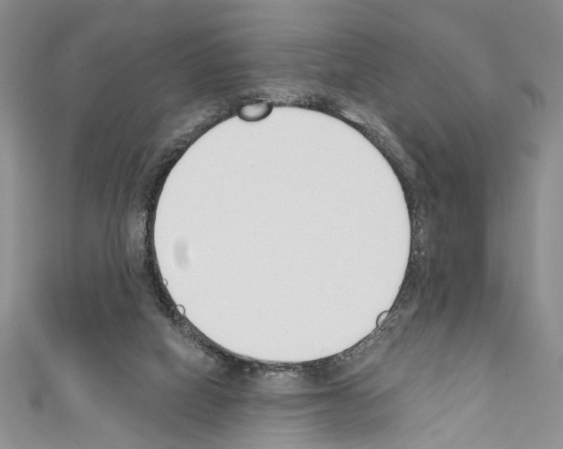 X0000110740066200907271110