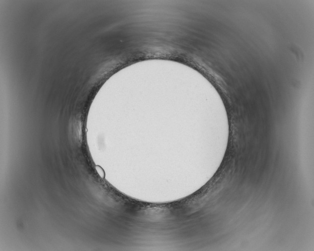 X0000110740067200907271110