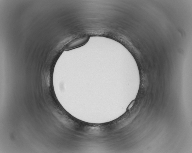 X0000110740068200907271110