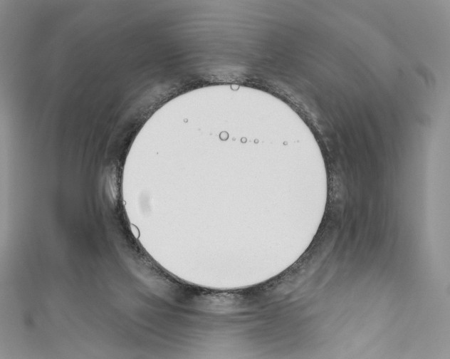 X0000110740069200907271110