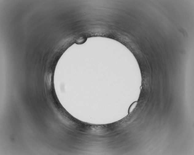 X0000110740070200907271110