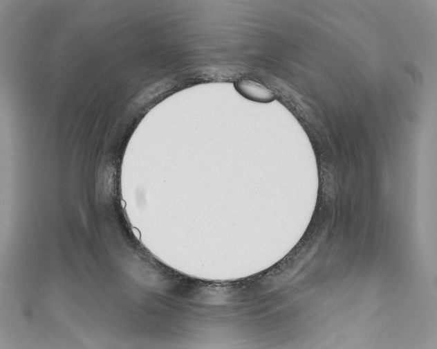 X0000110740071200907271110