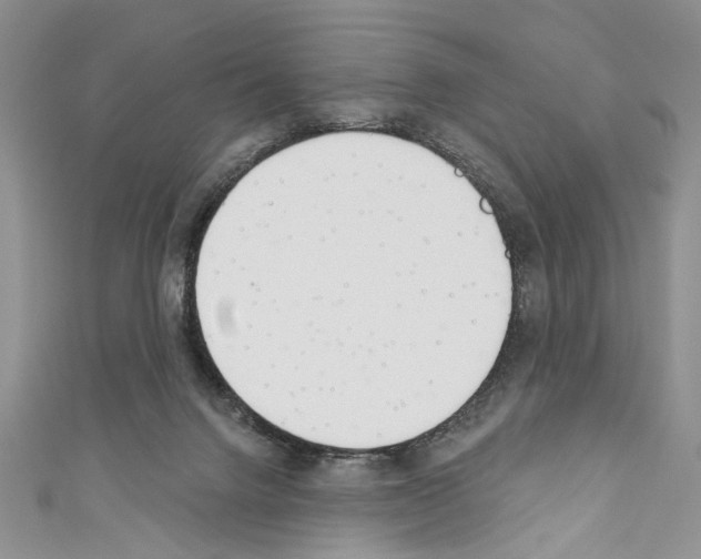 X0000110740072200907271110